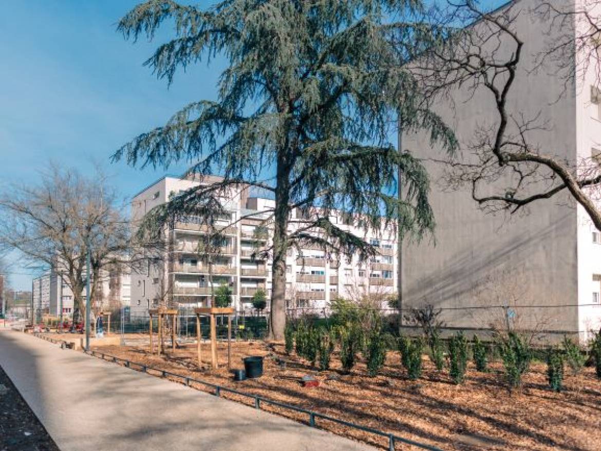 L'aménagement permet de parcourir le quartier du nord au sud.